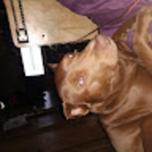 Meet your Posher, Cody